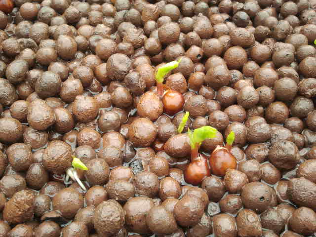 2012-04-01 10.08.50.jpg