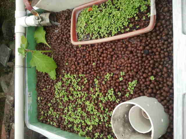 2012-04-01 10.08.30.jpg