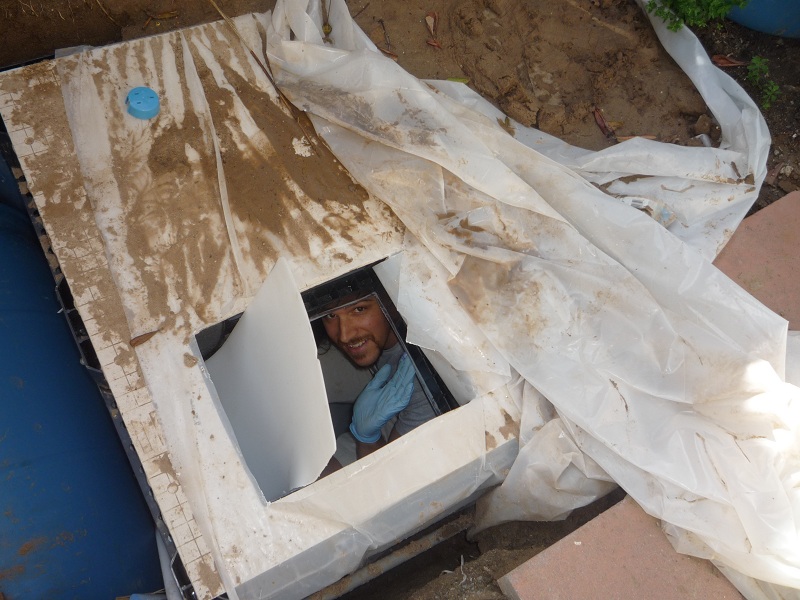 019 it puts the lotion on the body.jpg