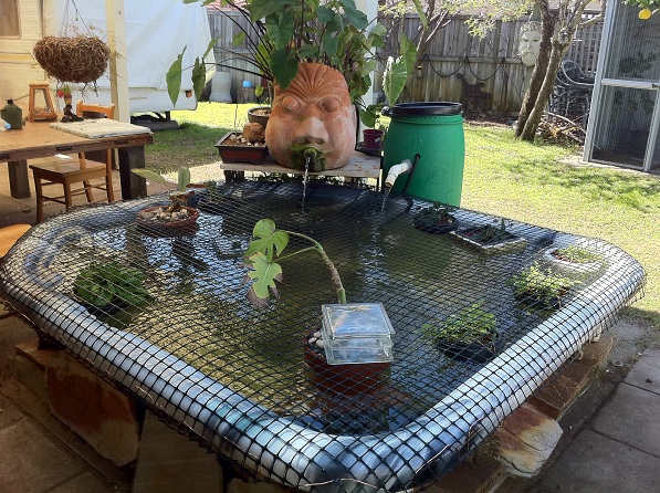 BigSpa Aug2011   (2).JPG