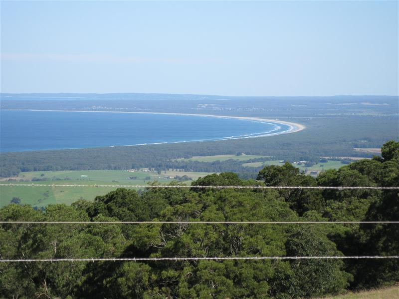 IMG_3878 (Custom).JPG