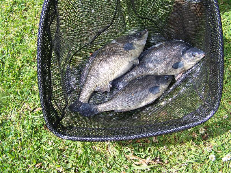 100_6527 (Custom).JPG