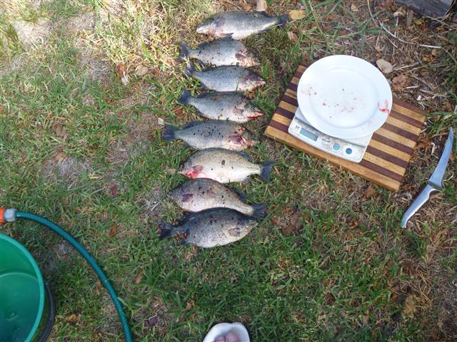 P1000883 (Small).JPG