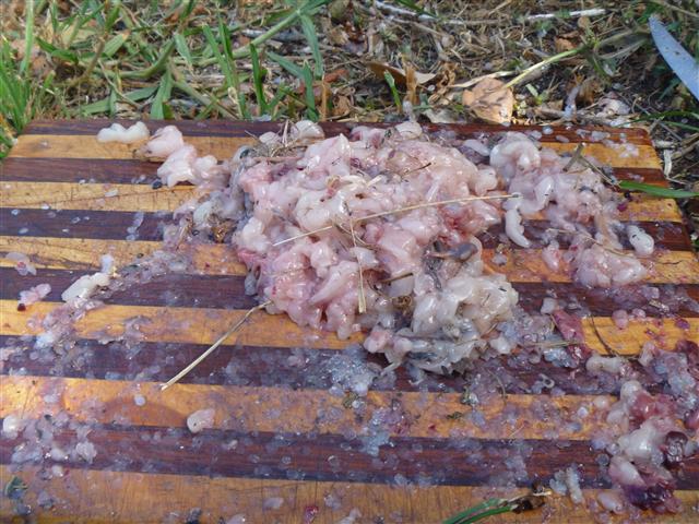 P1000885 (Small).JPG