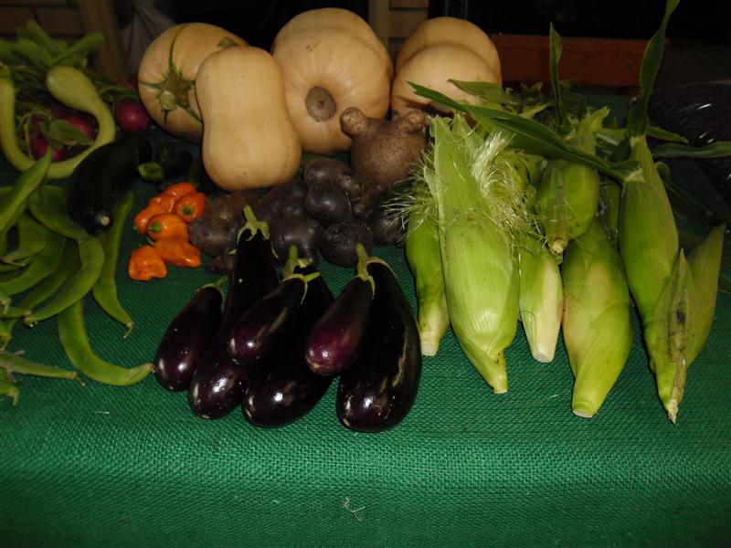 SAM_0075 (Custom).JPG