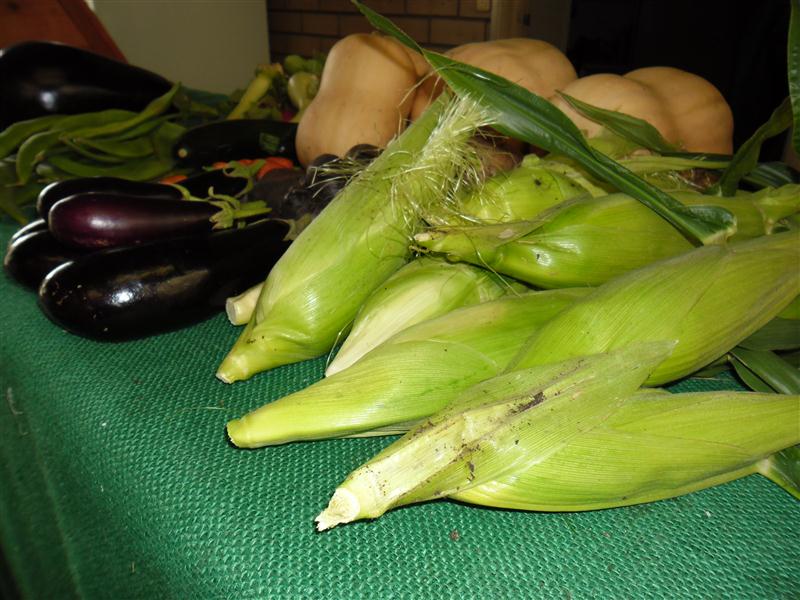 SAM_0076 (Custom).JPG