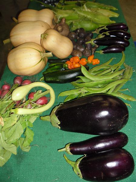 SAM_0077 (Custom).JPG