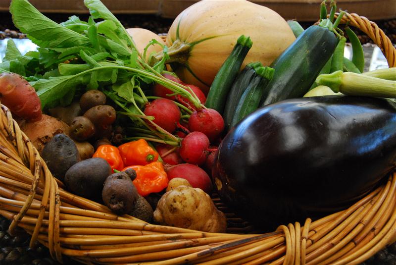 DSC_0338 (Custom).JPG