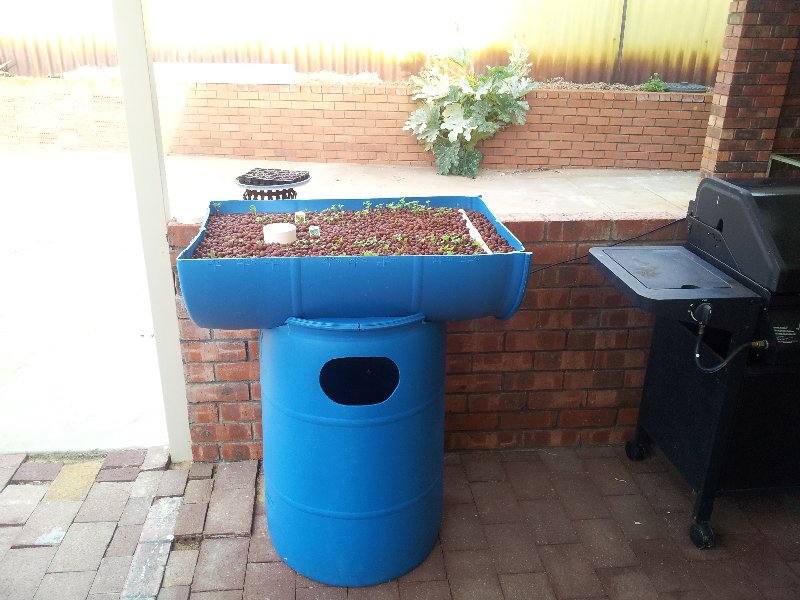 2012-03-24 17.08.47.jpg