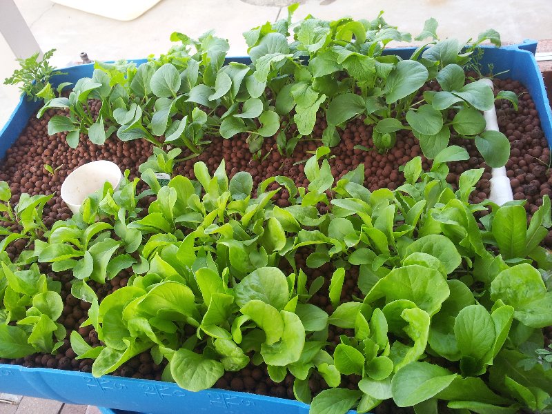 2012-04-07 17.06.03.jpg