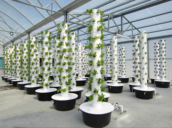 This is what i'm doing.jpg