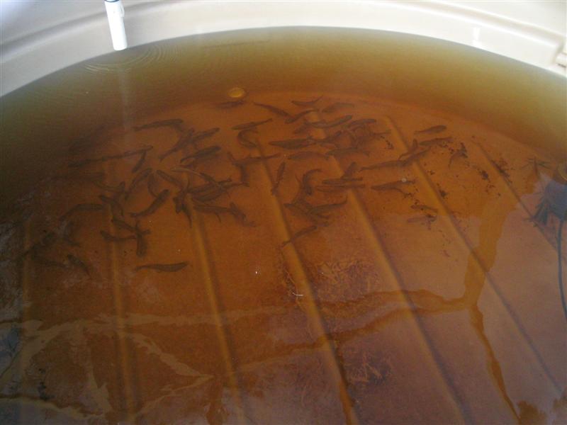 IMG_2239 (Medium).jpg