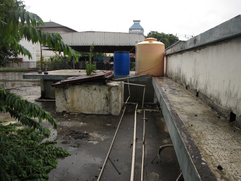 IMG_5557 (Custom).JPG