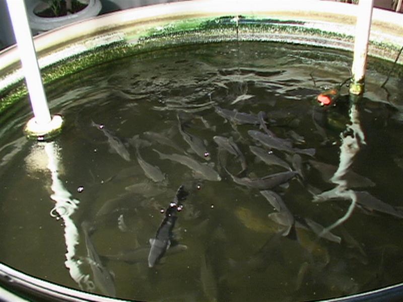 DSC00083 (Medium).JPG