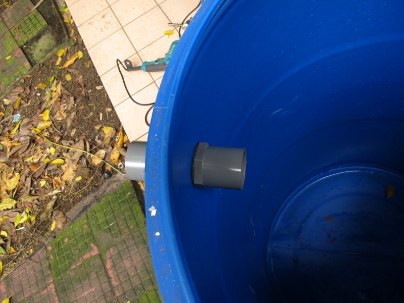 IMG_6699 (Custom).JPG