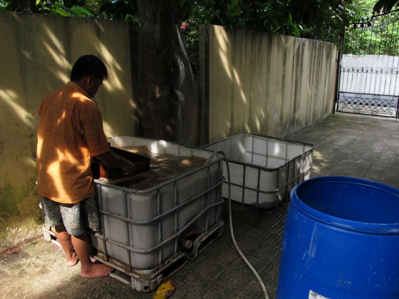 IMG_6726 (Custom).JPG