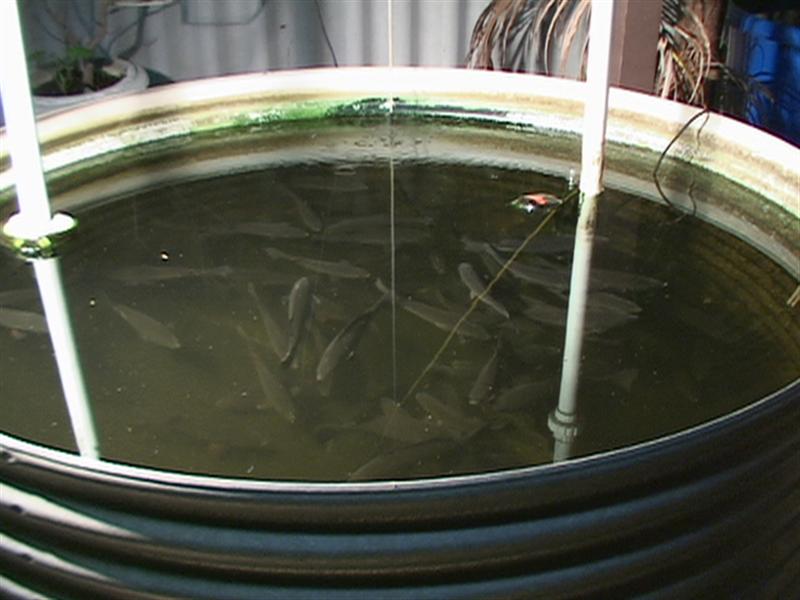 DSC00081 (Medium).JPG