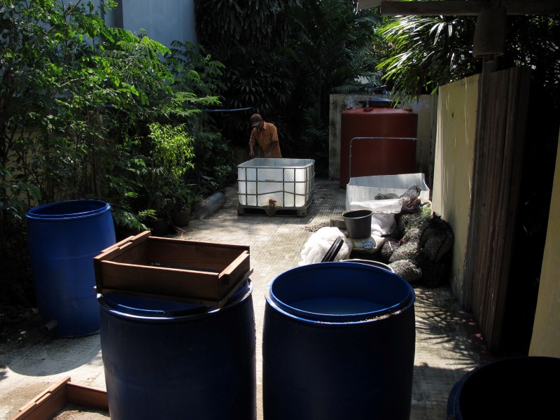 IMG_6725 (Custom).JPG