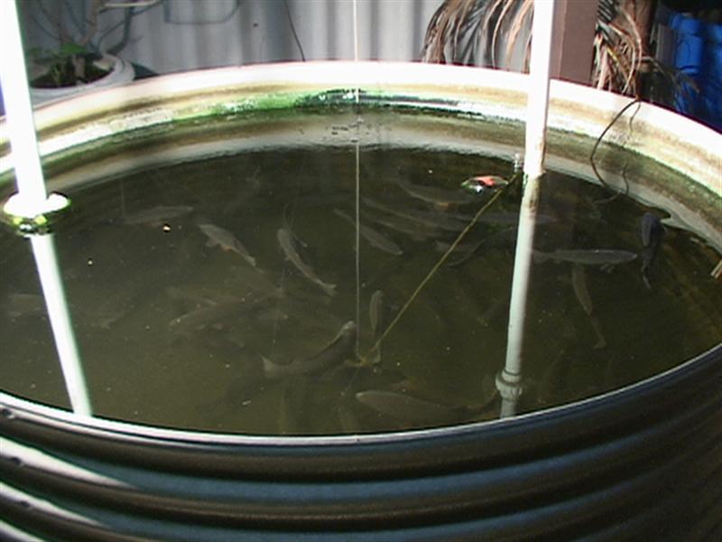 DSC00082 (Medium).JPG