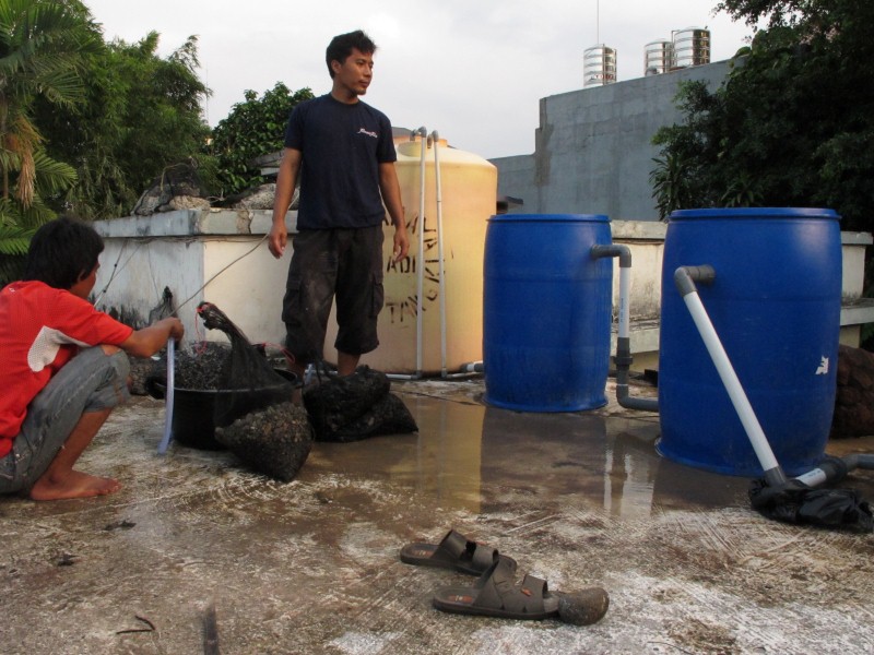 IMG_6827 (Custom).JPG