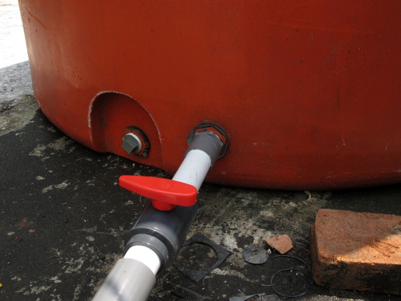 IMG_6847 (Custom).JPG