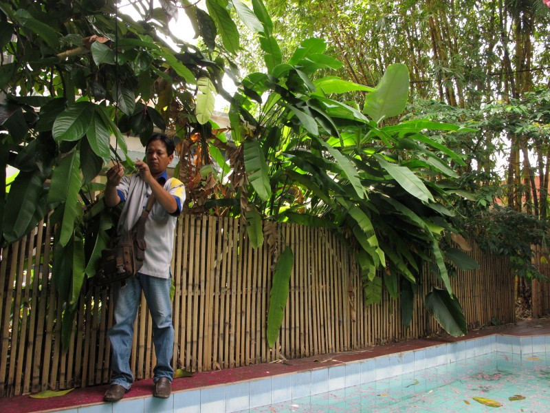 IMG_6848 (Custom).JPG