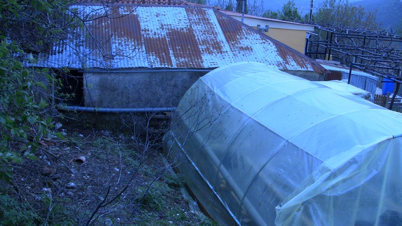 greenhouse attached to the old house2.jpg