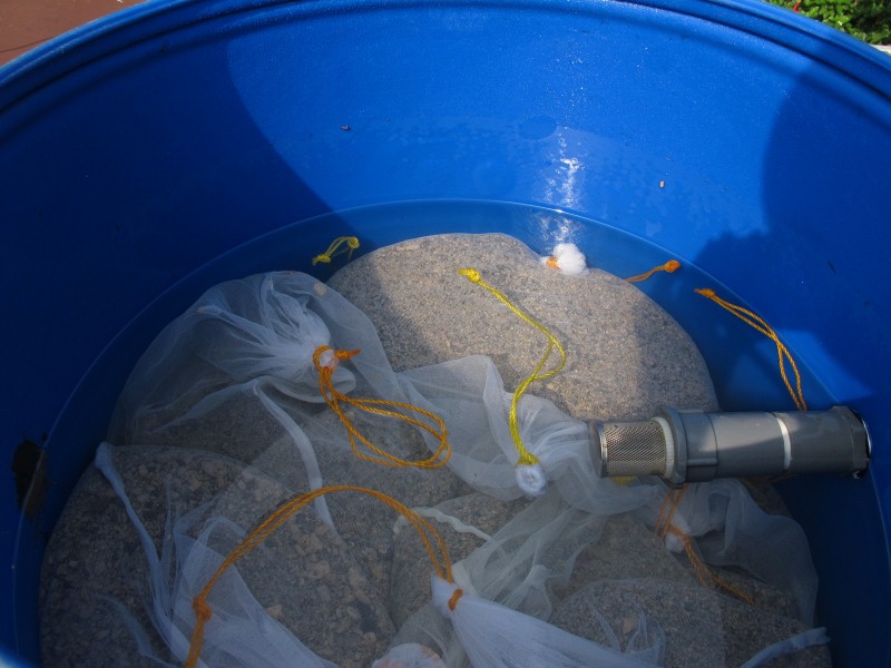 IMG_6916 (Custom).JPG