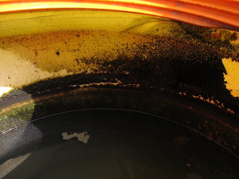 IMG_6920 (Custom).JPG