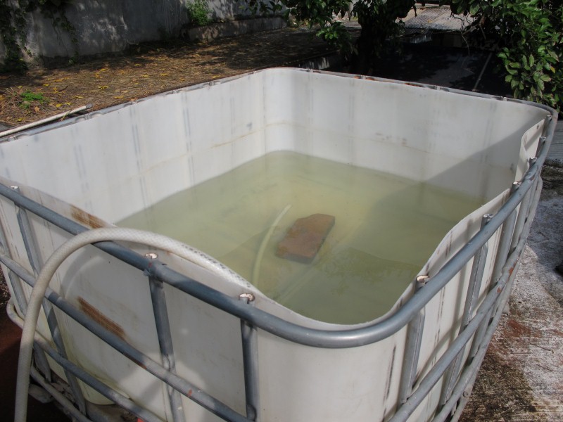 IMG_6913 (Custom).JPG