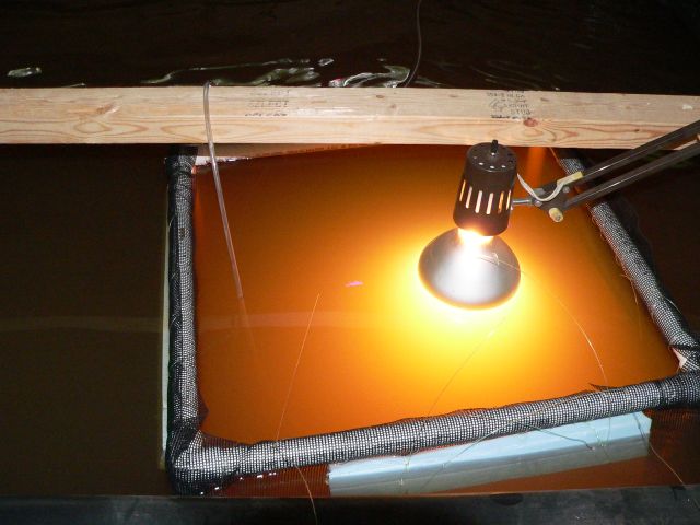 Lighted Tilapia Nursery.jpg