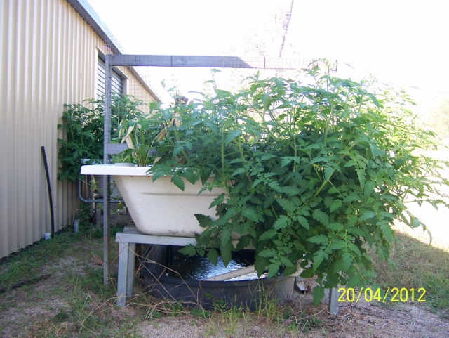 100_5881 (640x481).jpg