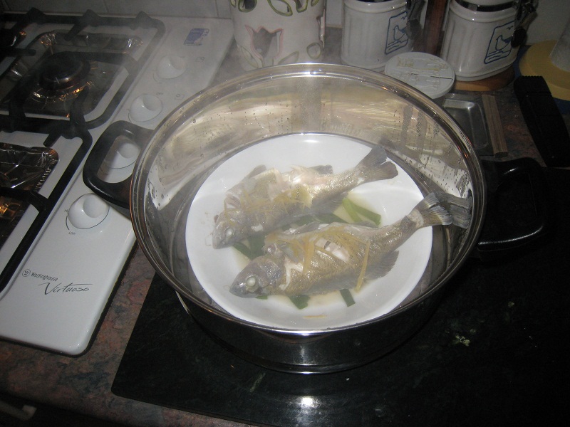 Cooking steamed Silver Perch with Spring Onion and Ginger.jpg