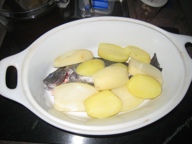 Silver Perch in dish waiting for sauce.jpg