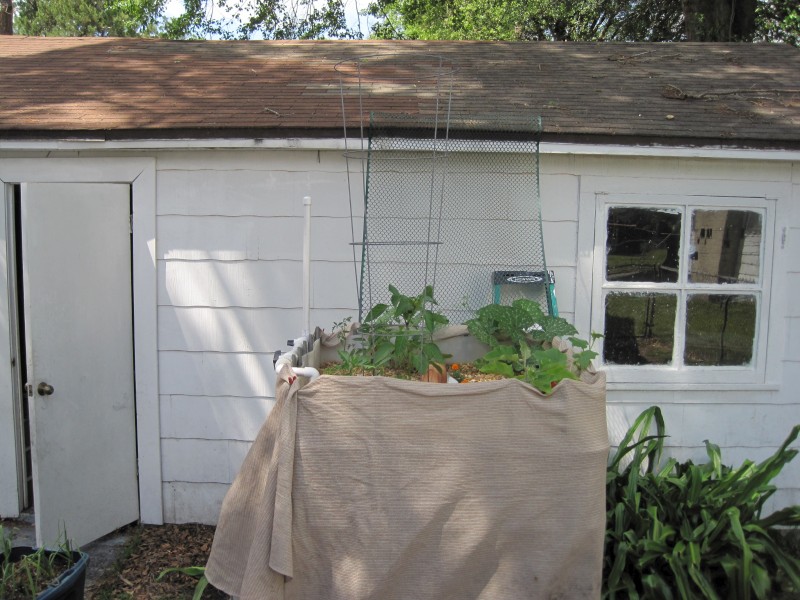 AP_rebuilt 027-800x600.jpg