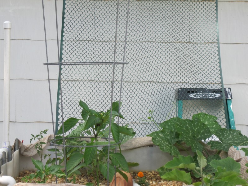 AP_rebuilt 028-800x600.jpg