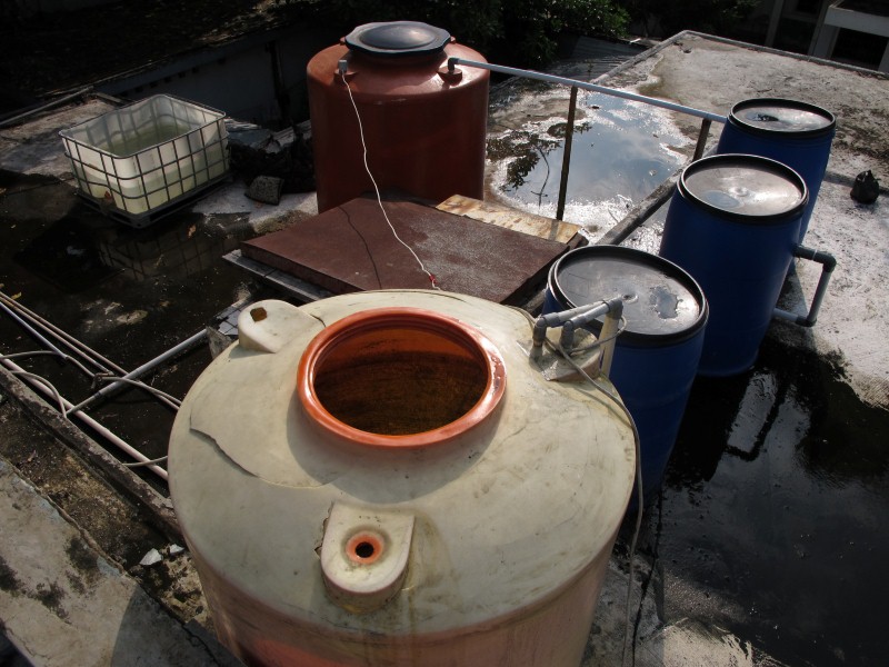 IMG_6921 (Custom).JPG