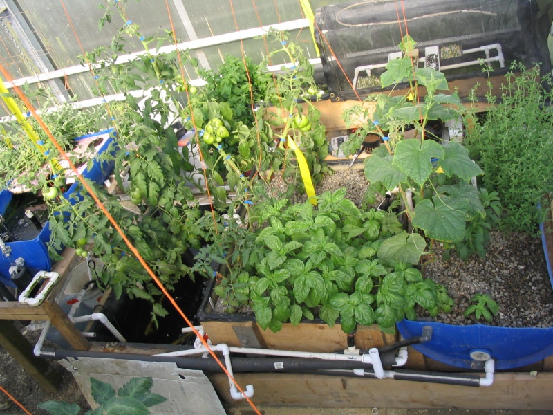 Aerial photo May 30.jpg