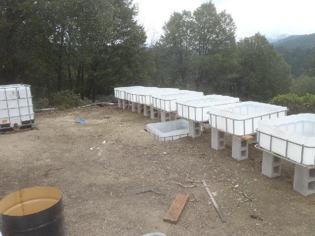 full view(unpainted).jpg