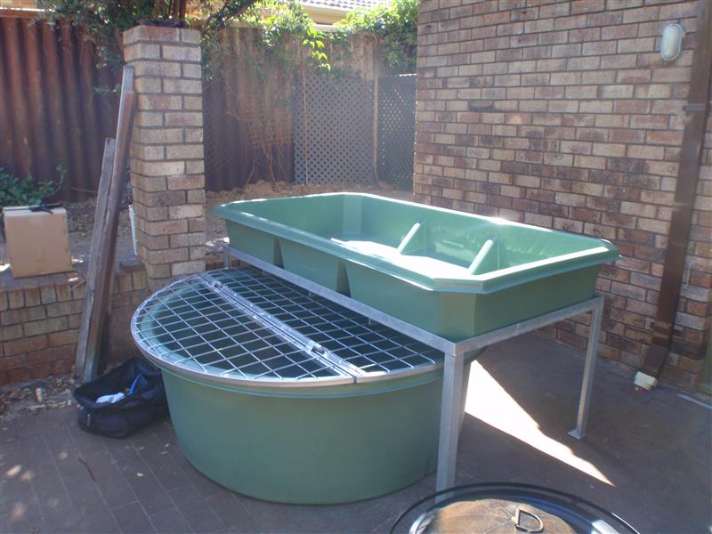 P4110001 (Custom).JPG