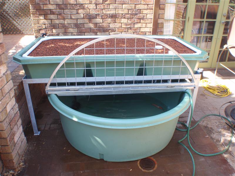 P4110003 (Custom).JPG