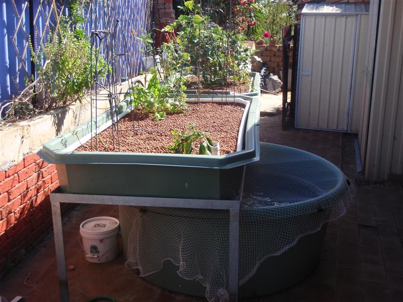 P4150007 (Custom).JPG