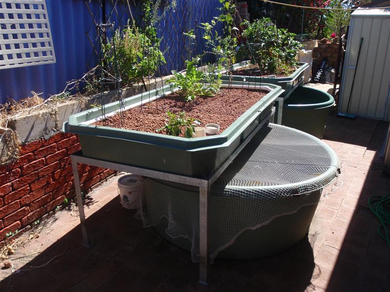 P4160009 (Custom).JPG