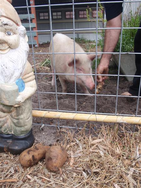 P4260058 (Custom).JPG