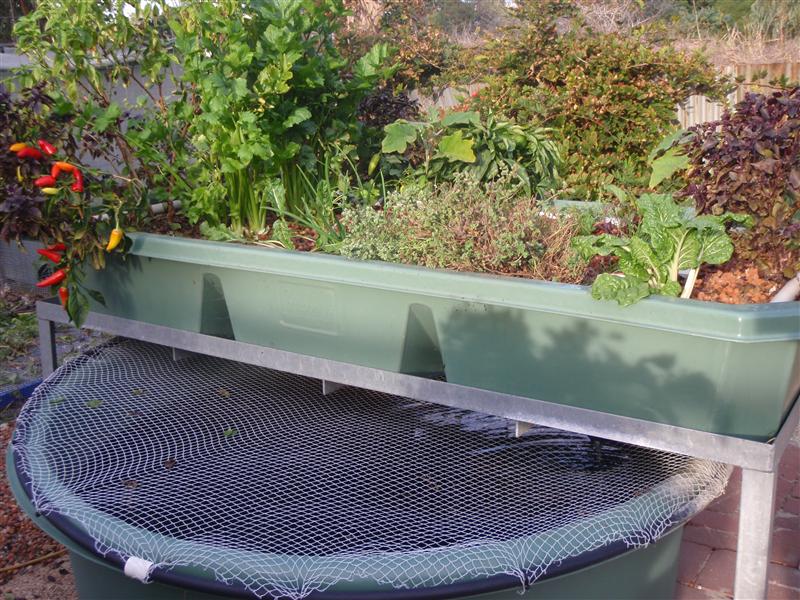 Stand pipe and timer (Custom).JPG