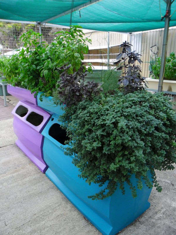 SAM_0101 (Custom).JPG