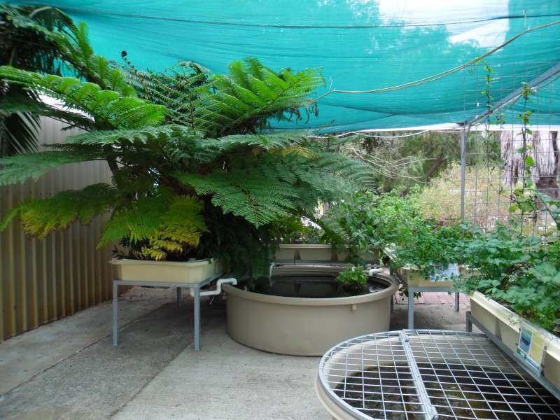 SAM_0096 (Custom).JPG