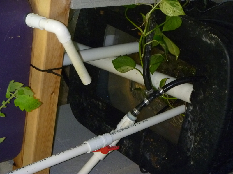 Aquaponics-System-v1.2.2012.04.3002.JPG