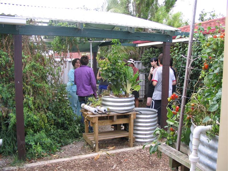 IMG_1969 (Custom).jpg