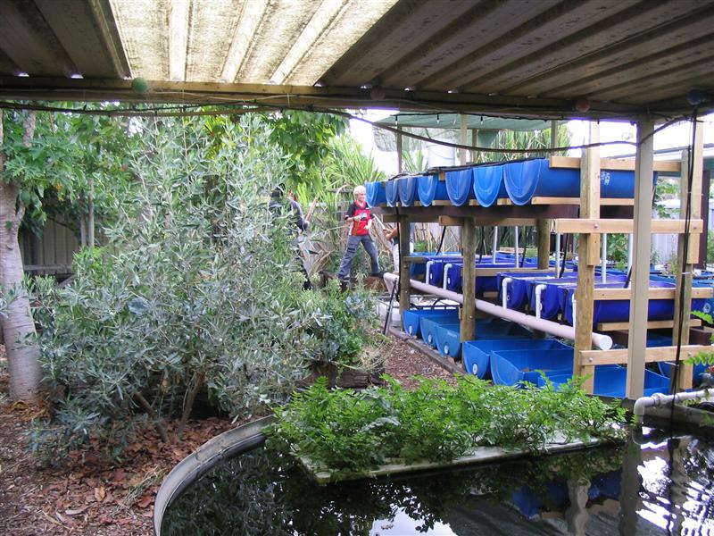 IMG_1968 (Custom).jpg